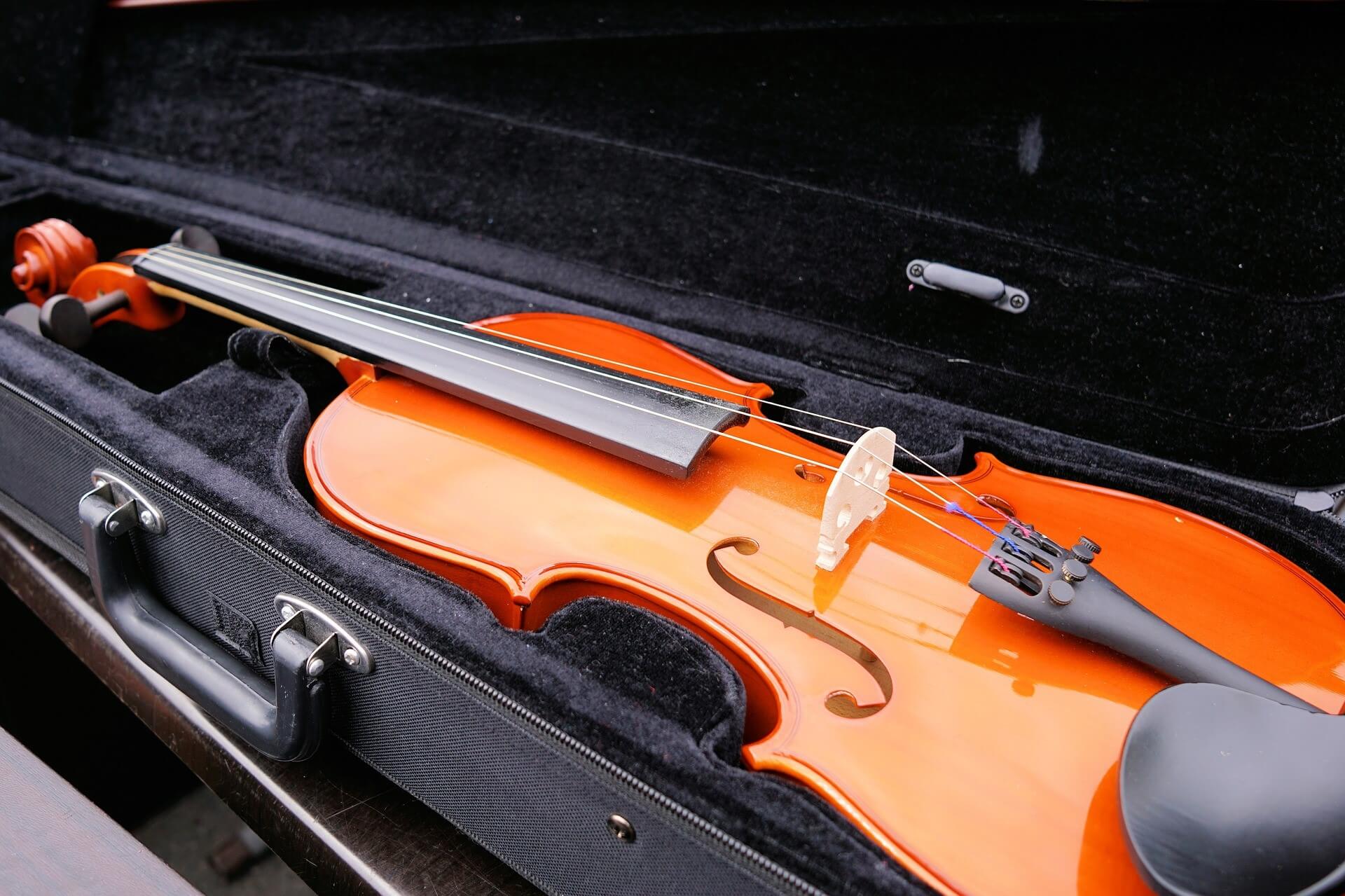 Custodia per violino Qual è la miglior 2022?